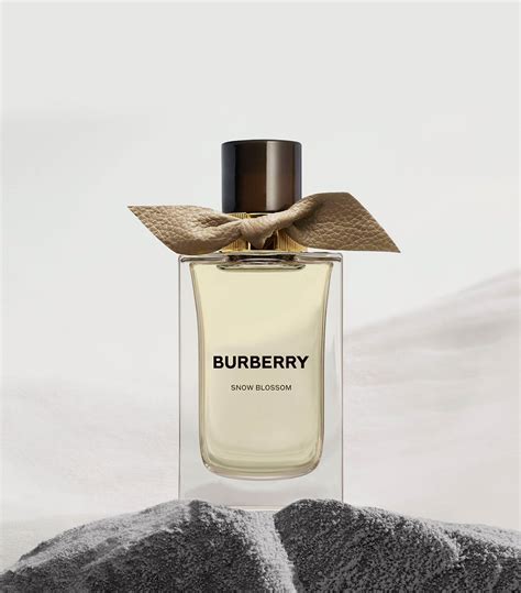 burberry snow blossom perfume|burberry her blossom sephora.